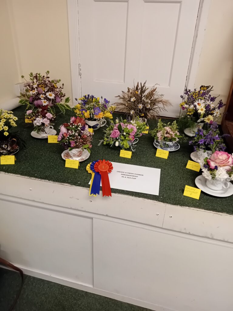 Winner Crafts Annual Fun Craft Competition - Mundesley WI